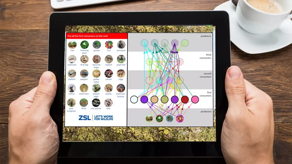 ZSL London Zoo - Food web game iPad application