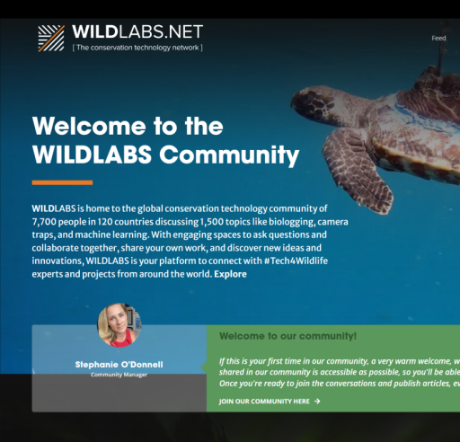 screenshot of wildlabs homepage