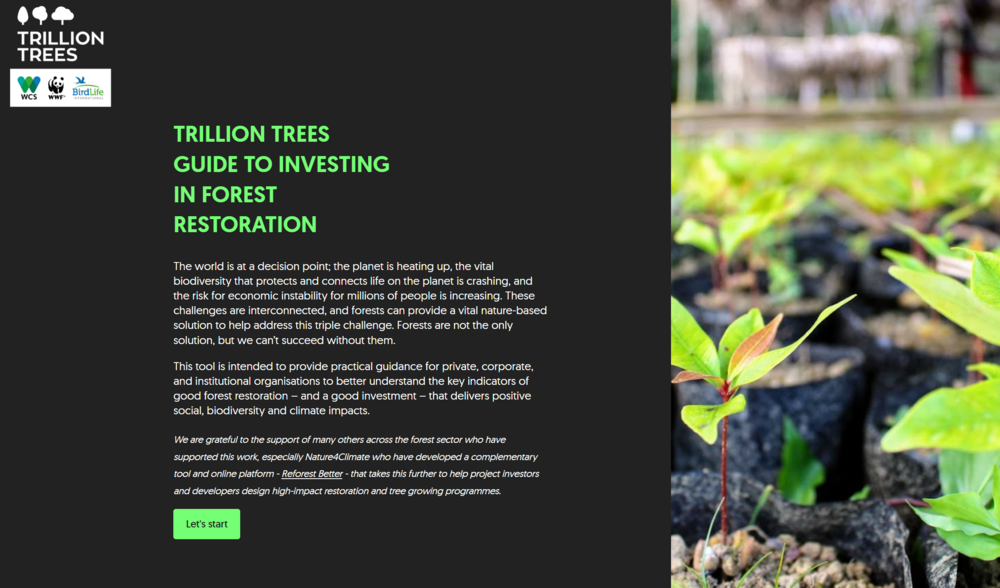 Trillion Trees guide to forest restoration