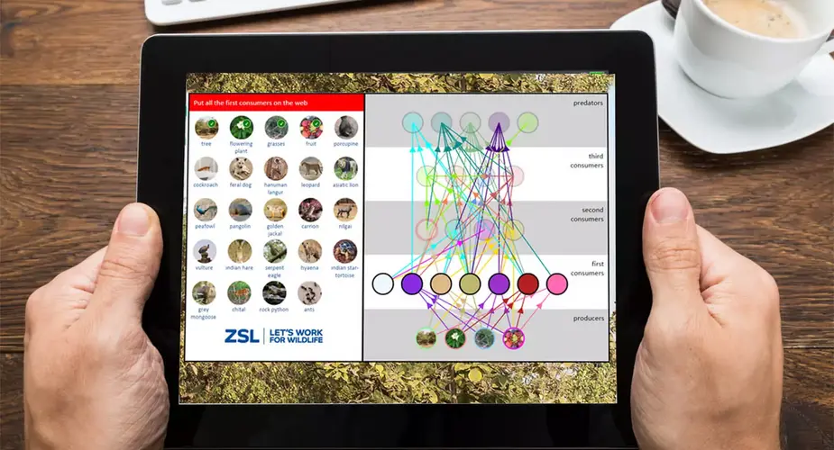 ZSL London Zoo - Food web game iPad application