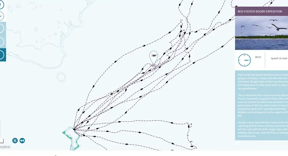 Chagos Information Portal - Tracking Map of Red Footed Booby Expedition