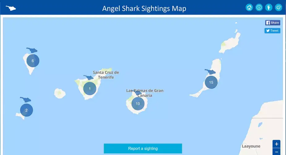 Angel sharks sighting map